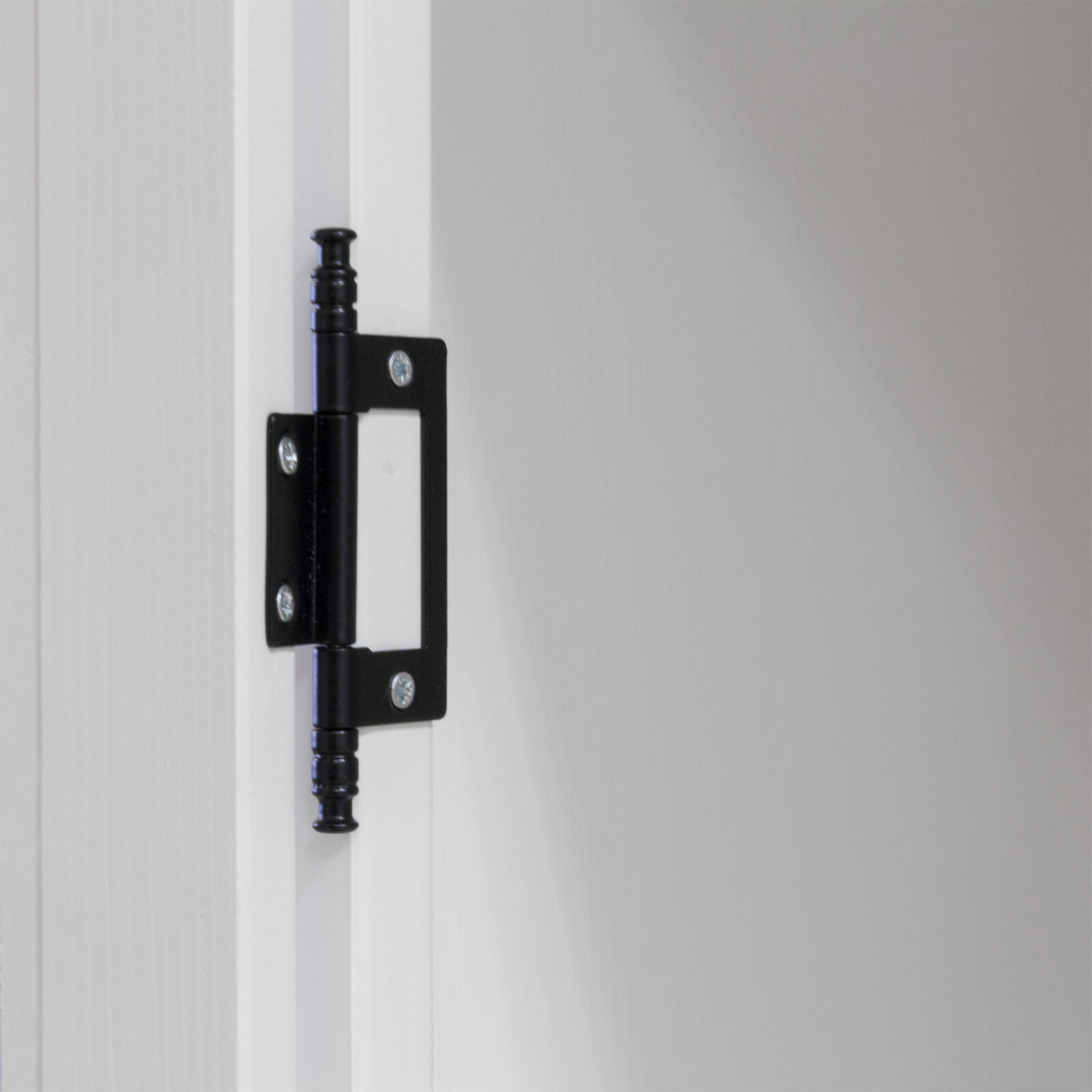 ���� ��� ������ ������-� 20/04