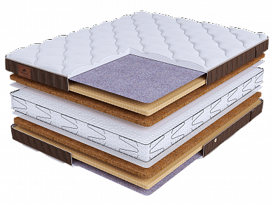 ������ BeautySon - LIFE Prestige Plus S600