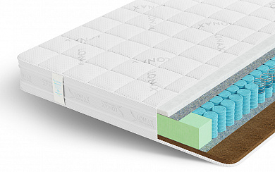 ������ Lonax Hollo Cocos TFK