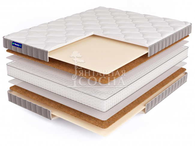 ������ BeautySon - Promo 6 S1200