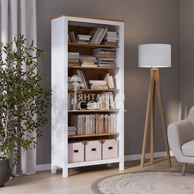 ������� ������ �����