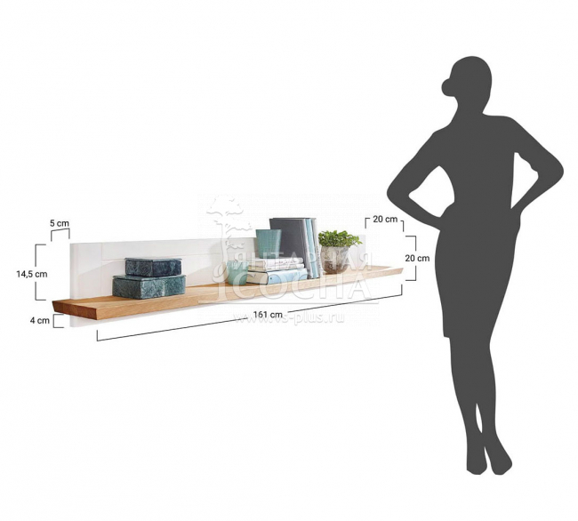 ����� ��������� ������ ������