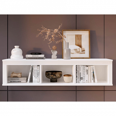 ����� �������� ������ �����