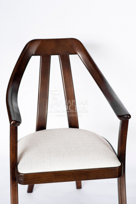 ������ Tefia ������ ������ ����