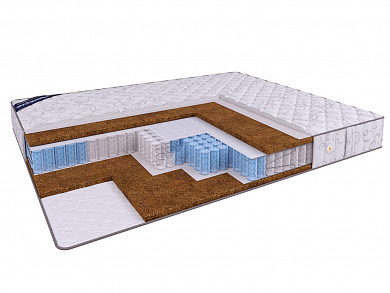 ������ BeautySon - HIT Hard TFK+