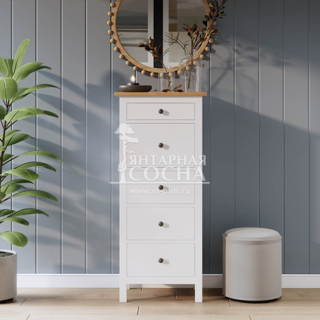 ����� 5 ������ ������ �����