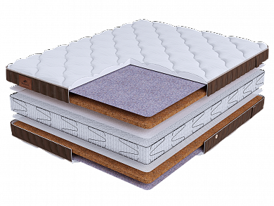 ������ BeautySon - LIFE Cocos S2400