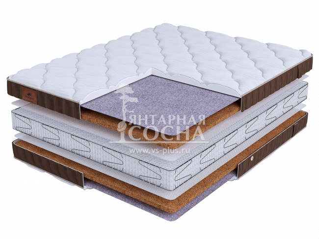 ������ BeautySon - LIFE Cocos S2400