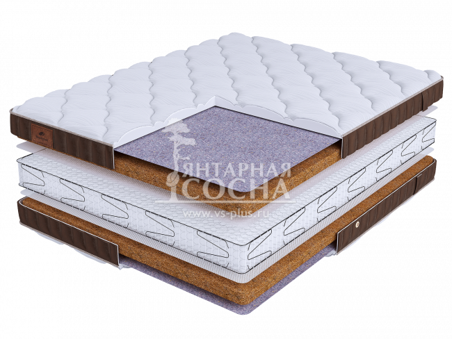 ������ BeautySon - LIFE Cocos Double S600