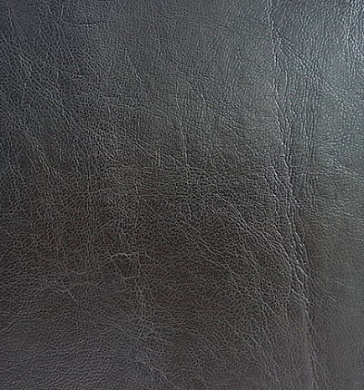 ���� �����