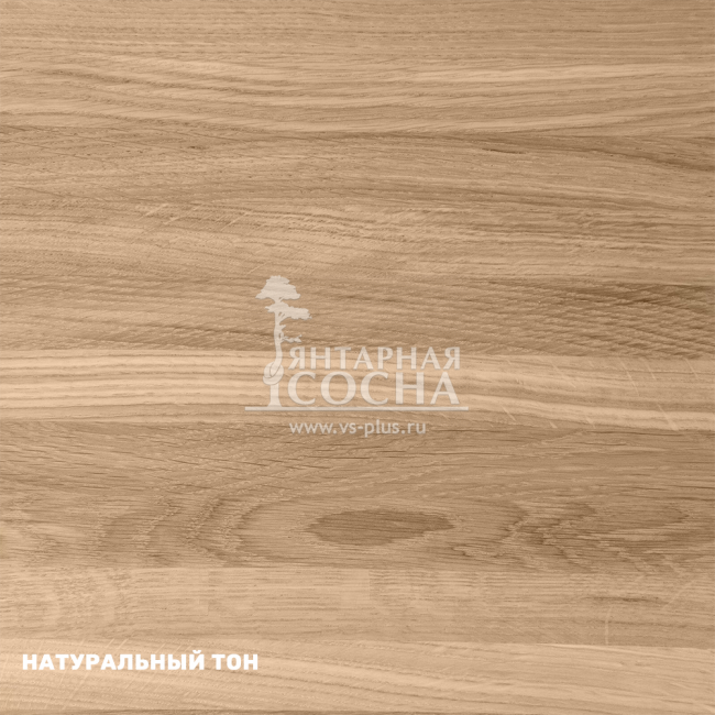 ���� ������ ������ �� ������� ����