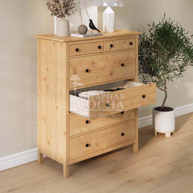 ����� ������� ����� 6 ������ ������-����������