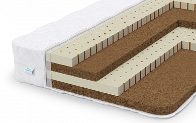 ������ Lonax Baby Fusion (�������)