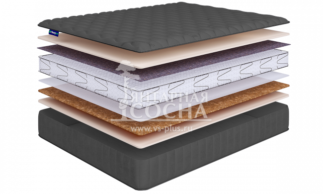 ������ BeautySon - Promo Lux 5 S1200