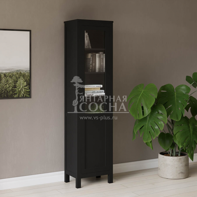 Шкаф узкий для книг КЫМОР Стекло/Панель 49 Черный Шкаф узкий для книг КЫМОР Стекло/Панель 49 Черный