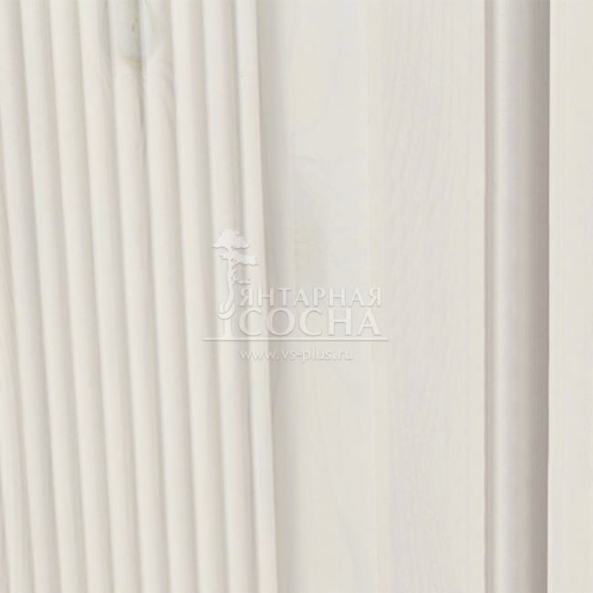 ���� ���������-21-N