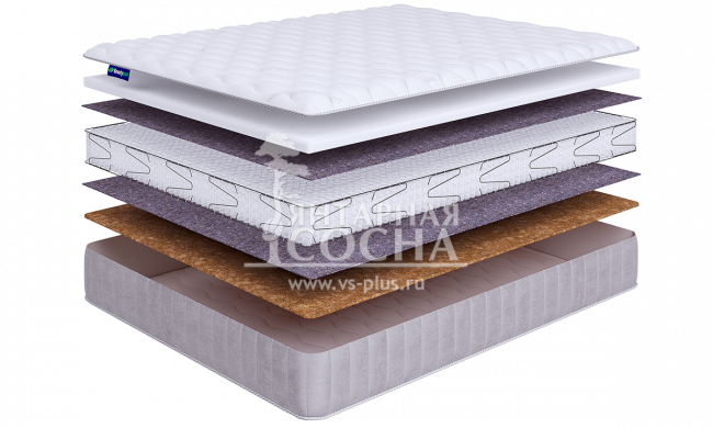 ������ BeautySon - Promo Lux 8 S1200