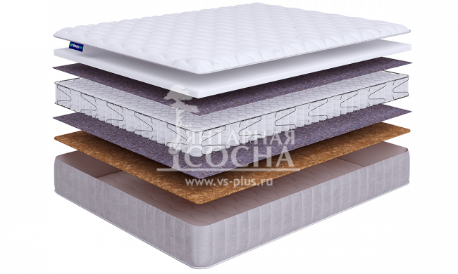 ������ BeautySon - Promo Lux 8 S600