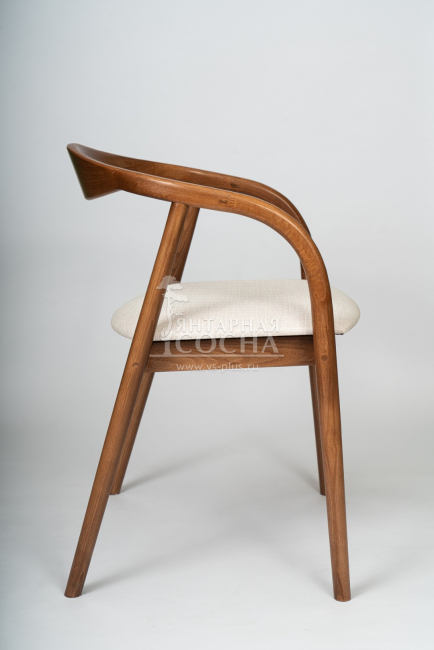 ���������� Diona ������ ������� ����