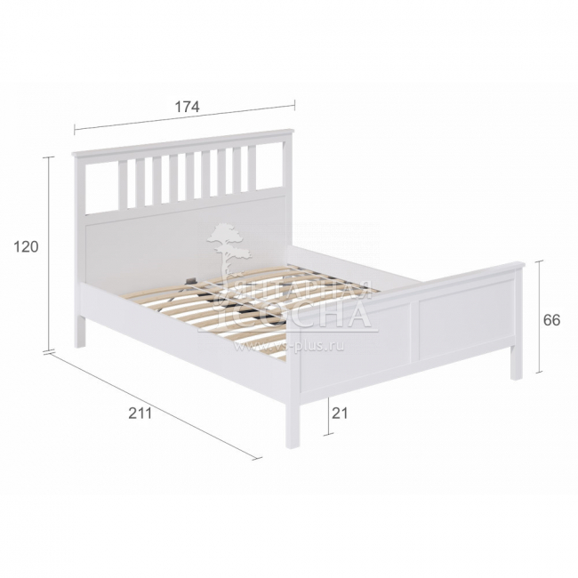 ������� ������������ ������ �����