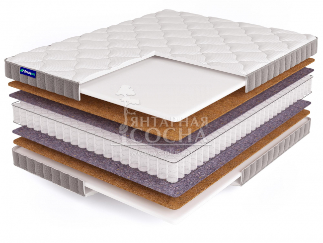 ������ BeautySon - Promo 12 S600