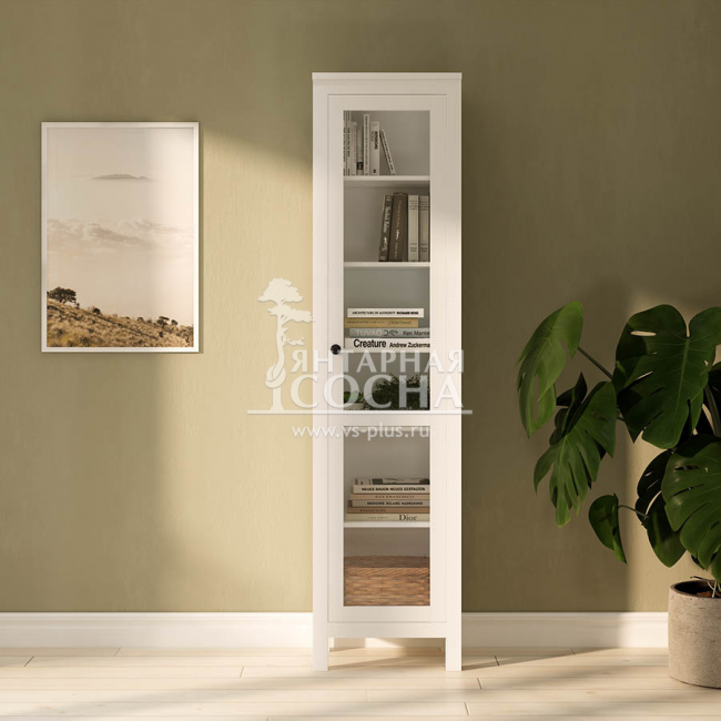 ���� ������� ������ ����� ����� ��/��