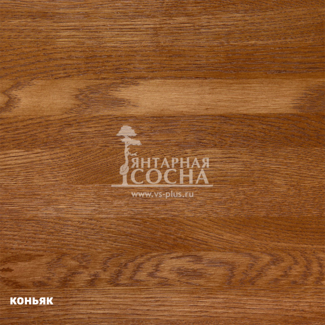 ���� ������ ���� �� ������� ���� (� ������ �������� �� ����������� ����)