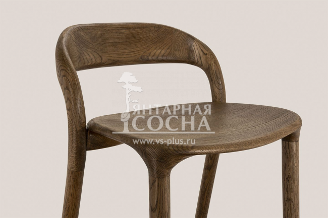 ���� ������ ���� �� ������� ����