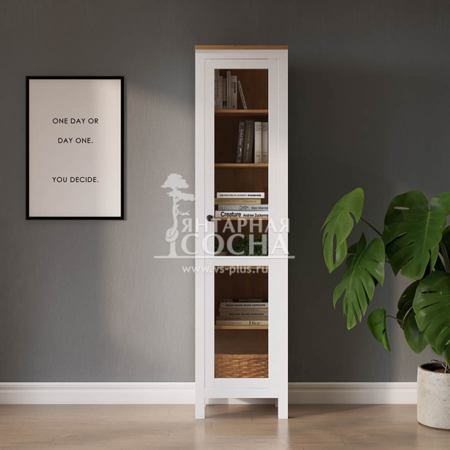 ���� ������� ������ ����� ����� ��/��