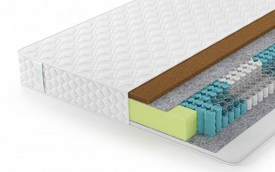  Lonax Hollo Cocos TFK 5 Zone