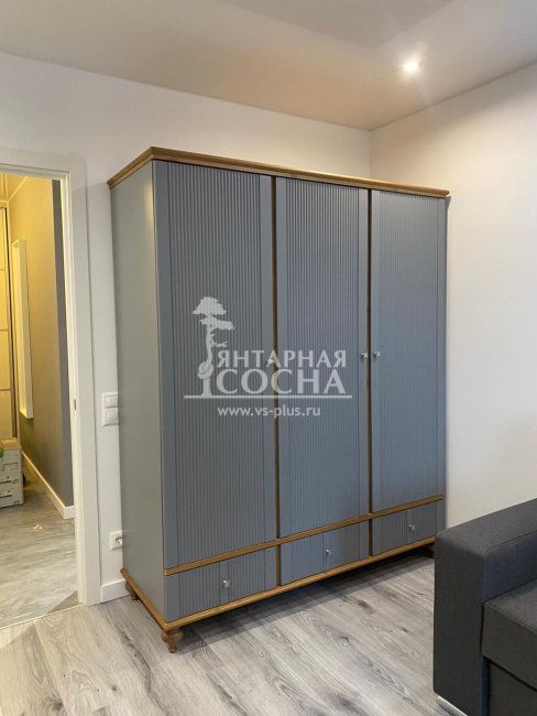 Шкаф для одежды Рандеву 33 (4.2.1) Шкаф для одежды Рандеву 33 (4.2.1)