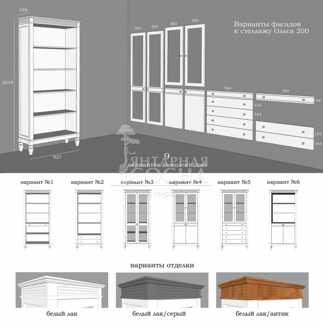 Стеллаж Ольса 202/210 (2.3.2) Стеллаж Ольса 202/210 (2.3.2)