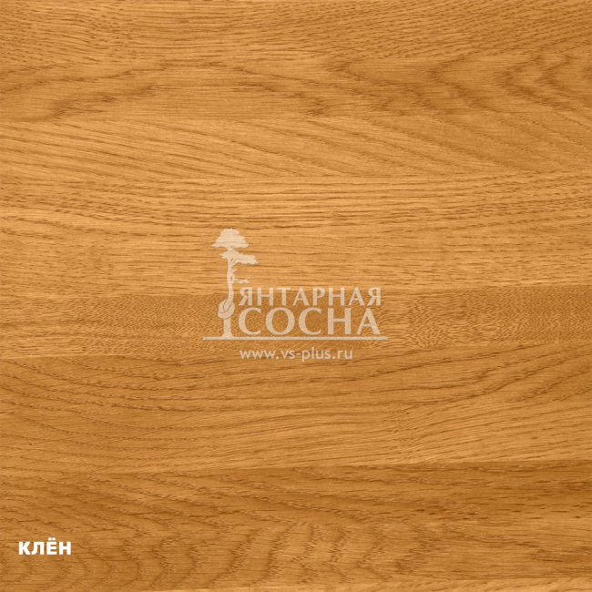 ���� ������ �� ������� ���� (� ������ �������� �� ����������� ����)