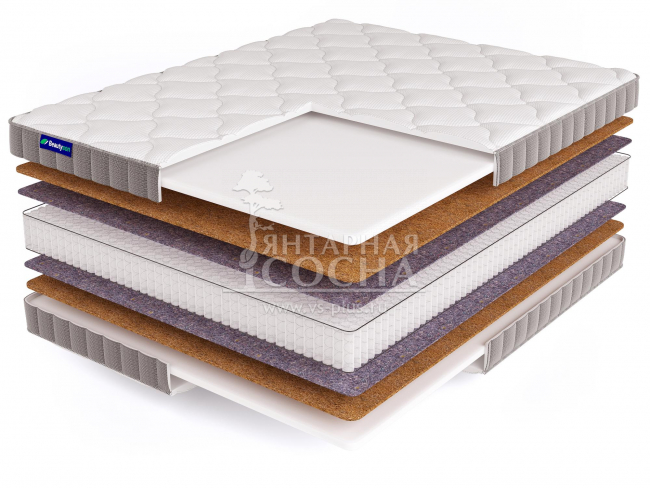 ������ BeautySon - Promo 12 S1200