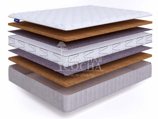 ������ BeautySon - Promo Lux 11 S1200