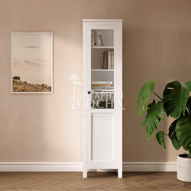 ���� ������� ������ ����� ����� ��/��