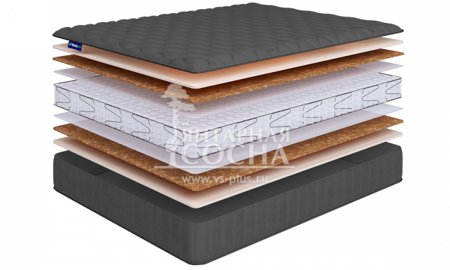 ������ BeautySon - Promo Lux 6 S600