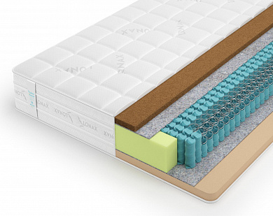  Lonax Memory Cocos TFK