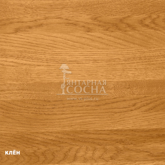 ���� ���������� ��������� ������� ���� � �������������� �� ������� ���� (����)