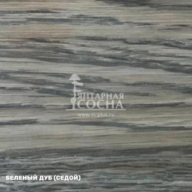 ���� ������ ������ �� ������� ����