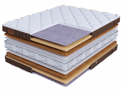 ������ BeautySon - LIFE Prestige Plus S2400