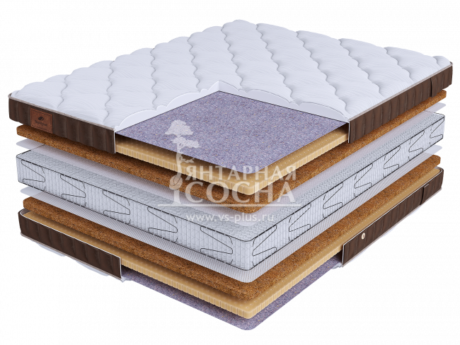 ������ BeautySon - LIFE Prestige Plus S2400