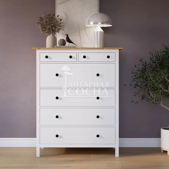 ����� 6 ������ ������ �����