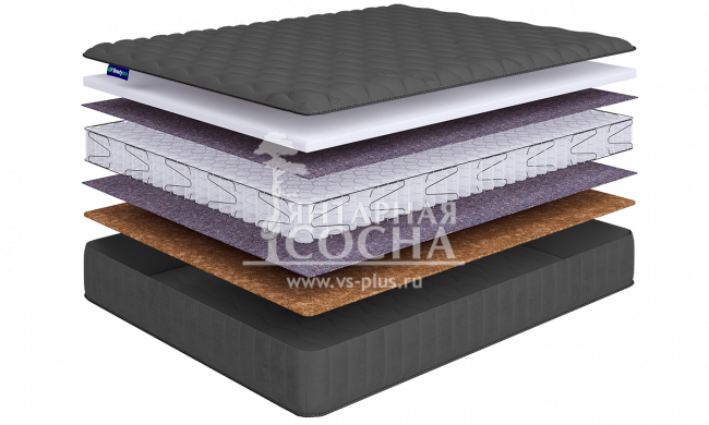 ������ BeautySon - Promo Lux 8 S600