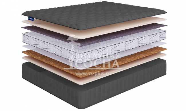 ������ BeautySon - Promo Lux 5 S600