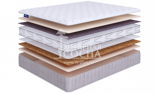 ������ BeautySon - Promo Lux 5 S1200