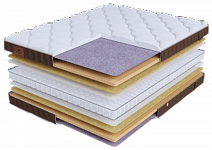 ����� BeautySON Life