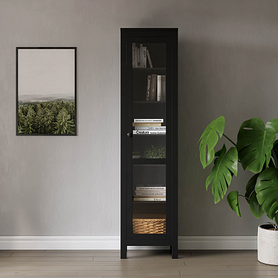 ���� ������� ������ ����� ����� ��/��