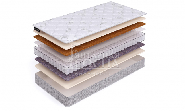 ������� ������ BeautySon - Baby Roll Soft Cocos S600