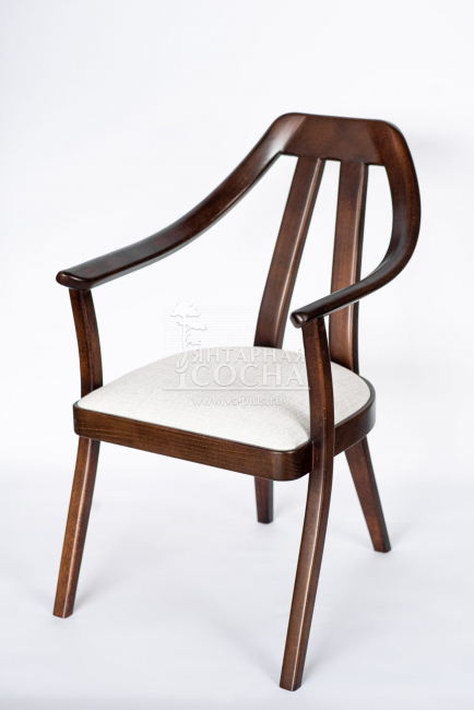 ������ Tefia ������ ������ ����